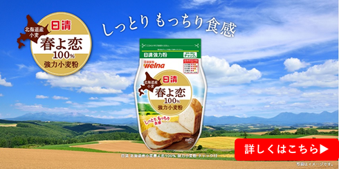 日清 北海道産小麦春よ恋100％ 強力小麦粉 チャック付 | 小麦粉 | 商品